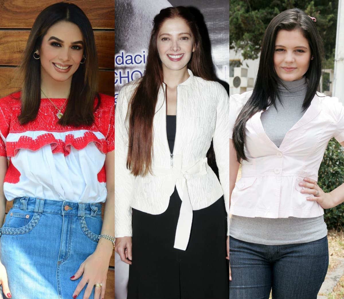 Adela Noriega, Allisson Lozz yBiby Gaytán eran de las protagonistas de telenovelas más queridas por el público, pero de la noche a la mañana se alejaron de la televisión.