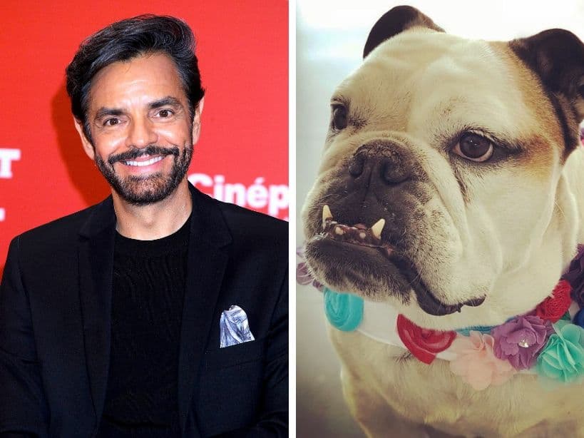 Eugenio Derbez revela por qué su perrita Fiona siempre viaja con él y su familia en primera clase