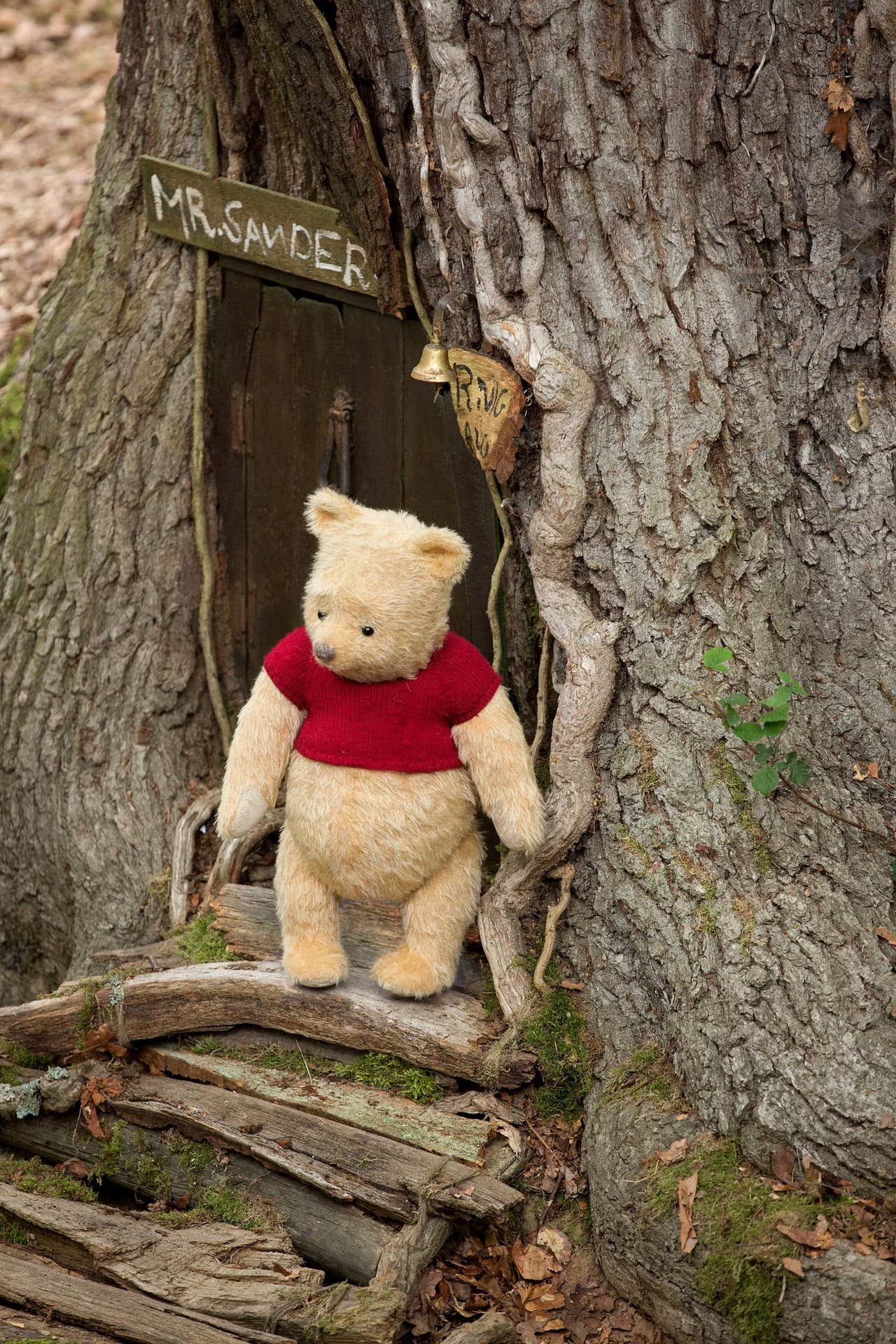 Este oso le pide su ayuda para encontrar a sus amigos, ‘Piglet’, ‘Tigger’, ‘Igor’, ‘Cangu’ y ‘Rito’ (FOTO: image.net)