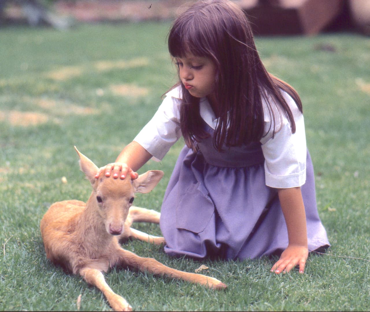 Andrea Lagunes tenía tan solo cinco años cuando dio vida al tierno personaje, que se robó el corazón de chicos y grandes gracias a tu talento y simpatía.