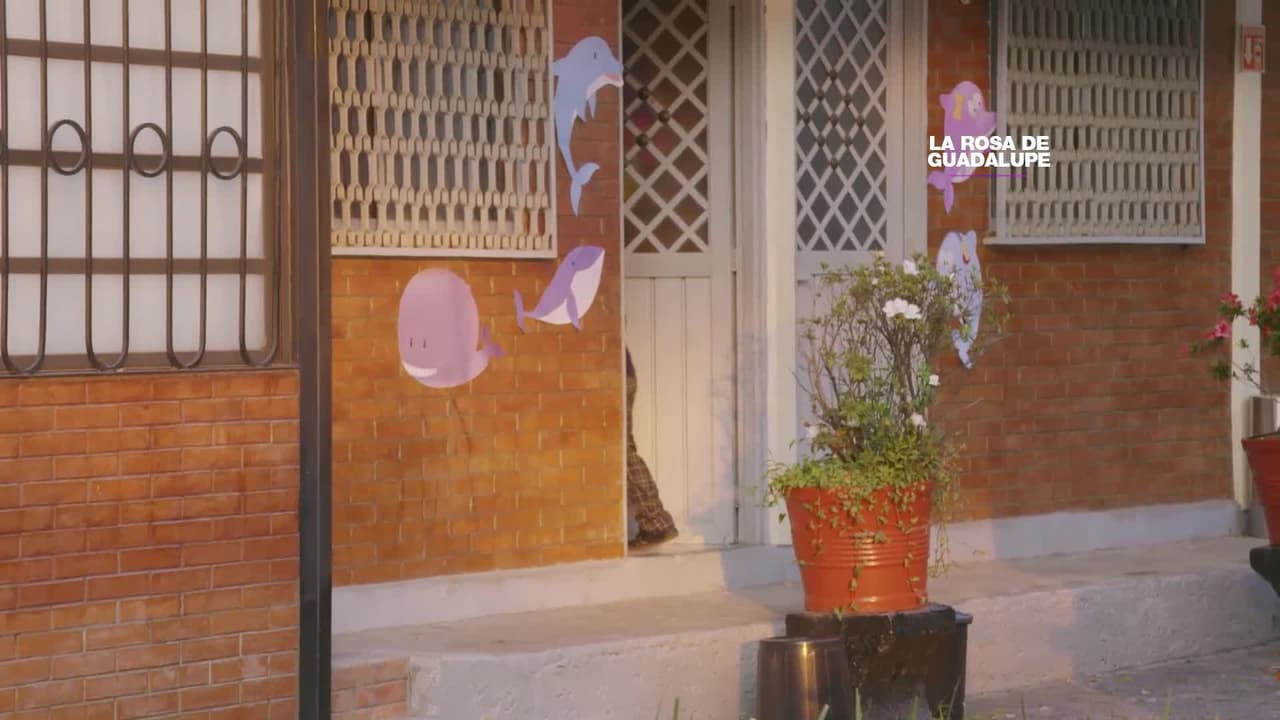 ¡Al maestro cochino se le acaba el jueguito y termina arrestado!