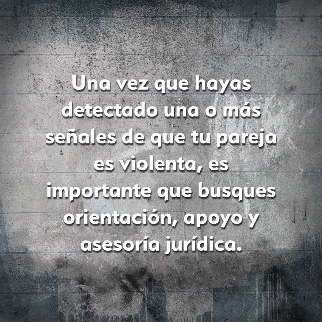 Fuente: Unidad de Violencia de Género de la Subdelegación de Gobierno de Segovia.