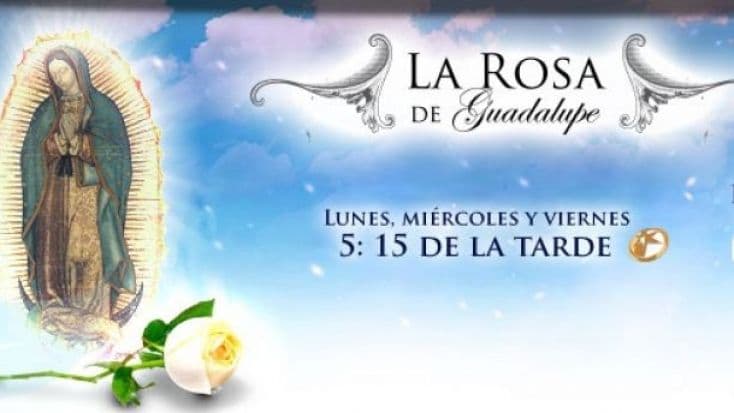 Disfruta del maratón de la Rosa de Guadalupe