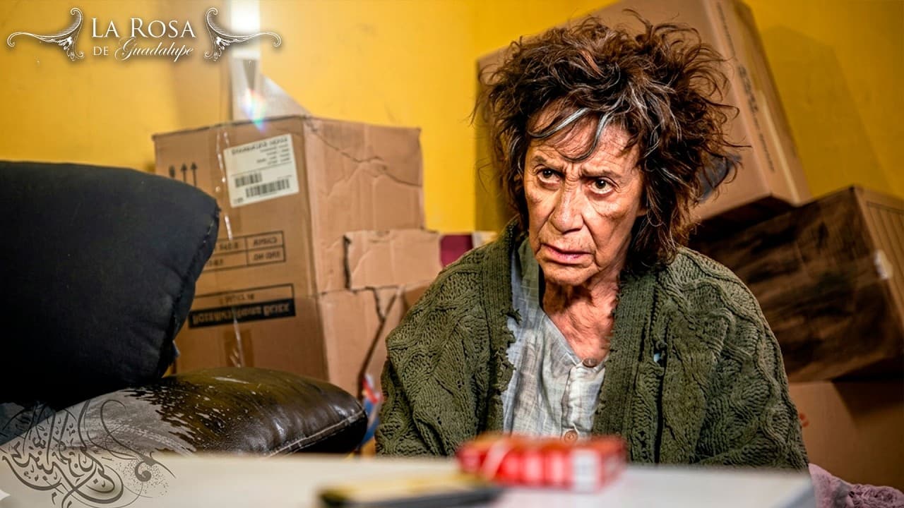La Rosa de Guadalupe | LA ABUELITA TRINI | Resumen | Parte 1