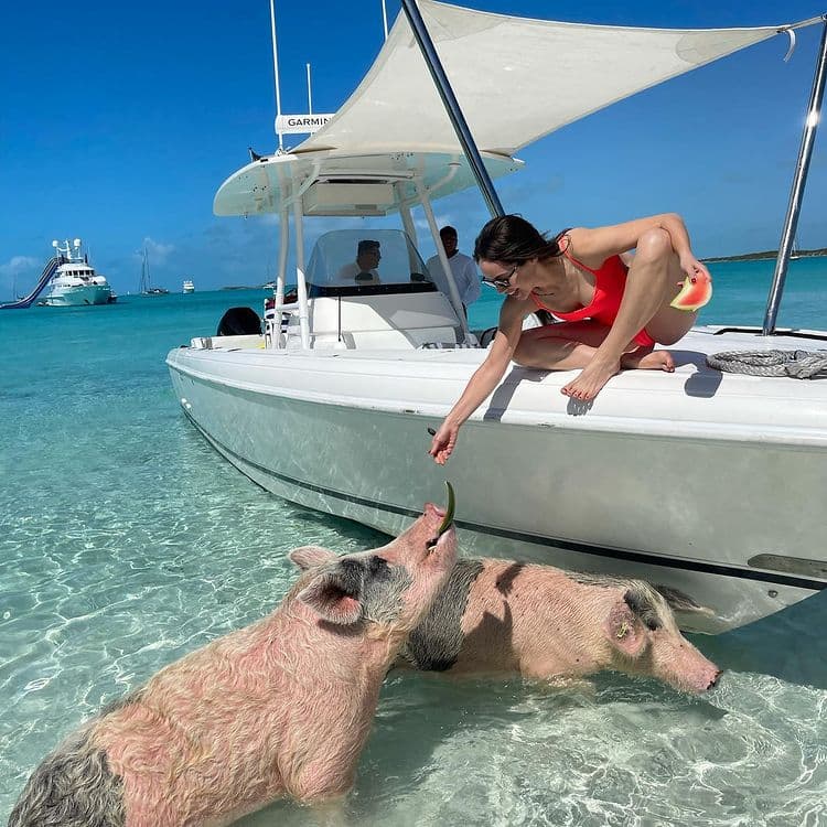 “Okey, ¡ve esto! ¡Fuimos a una isla donde hay puros cerditos y morí de amor!”, señaló al pie de una de sus fotografías.