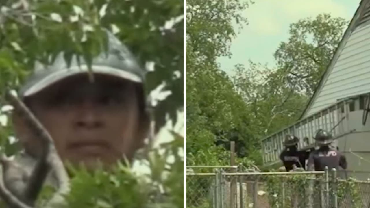 Juez ordena que deporten a inmigrante que subió a un árbol para evitar arresto
