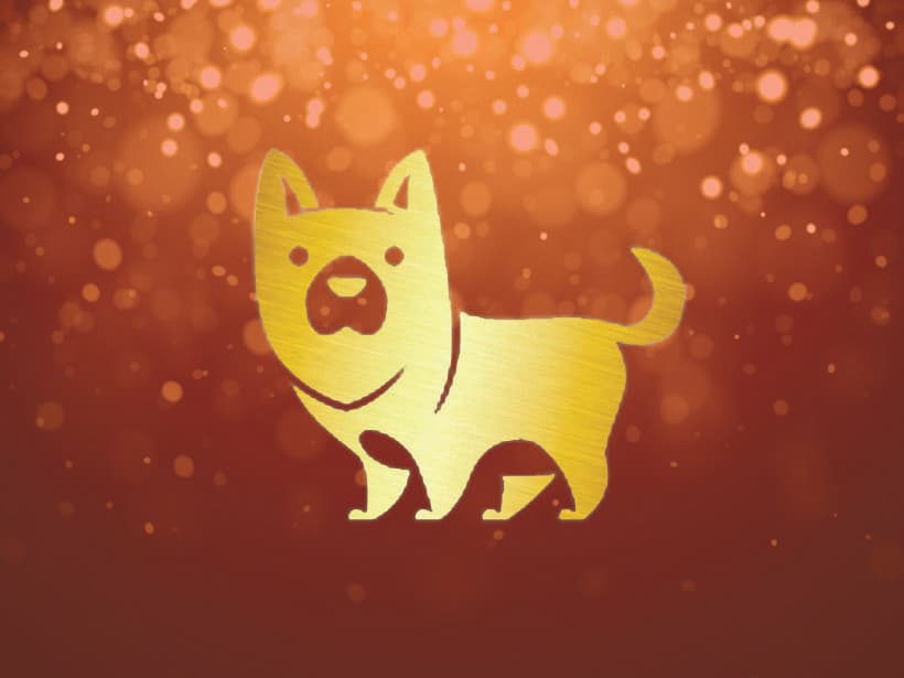 Perro 2021