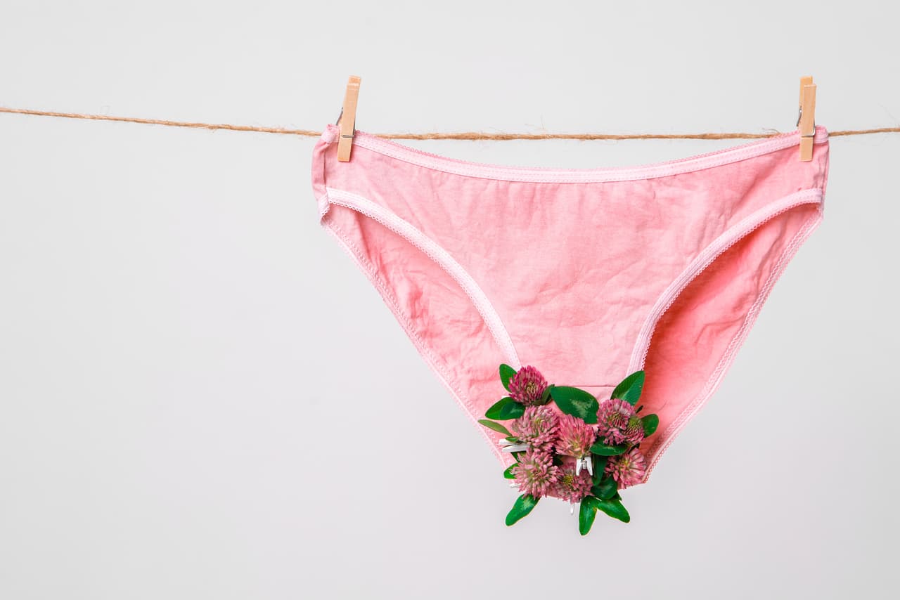 Pink women's underwear decorated with flowers on clothesline isolated on white, concept photography for feminist blog. High quality photo