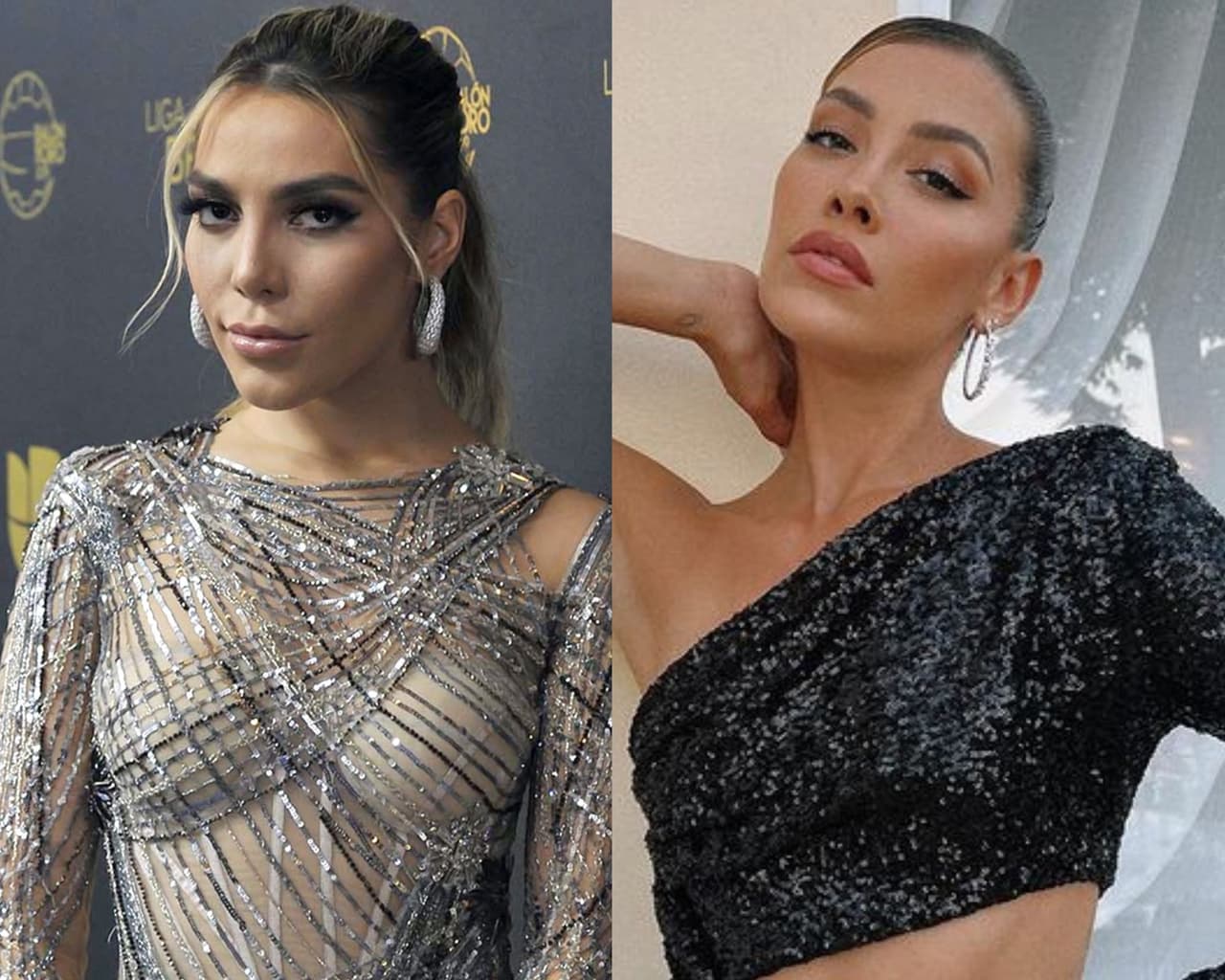 Frida Sofía acusa que su sobrina Michelle Salas le robó un fajón de dinero a su abuela Silvia Pinal