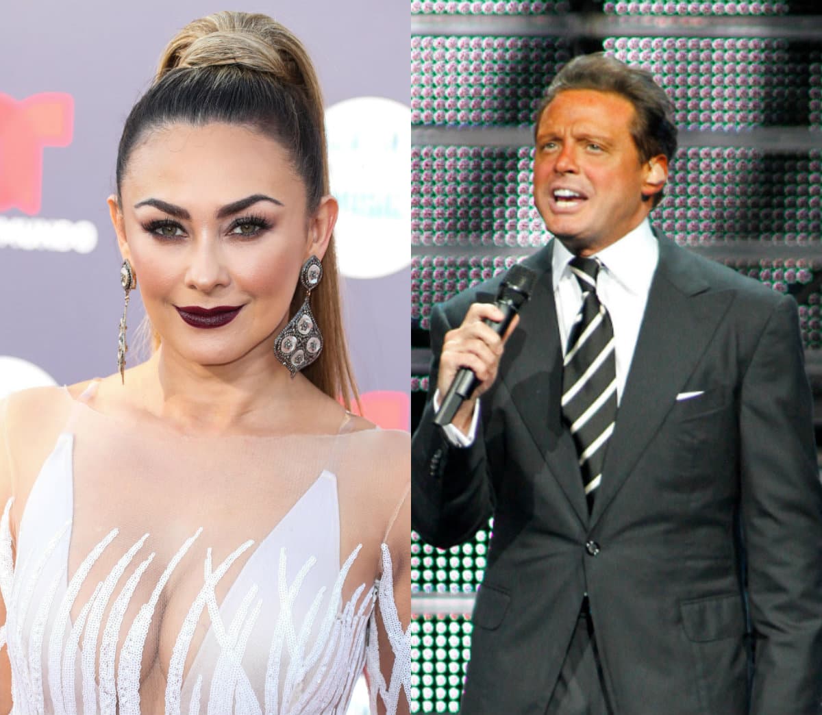 Aracely Arámbula prohíbe a Luis Miguel nombrarla en serie, pero anuncia que ella contará su historia