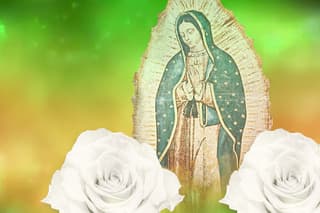 La Rosa de Guadalupe