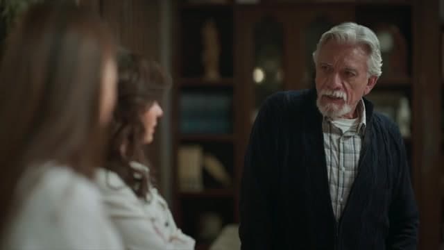 Delfino llama bastarda a Aura