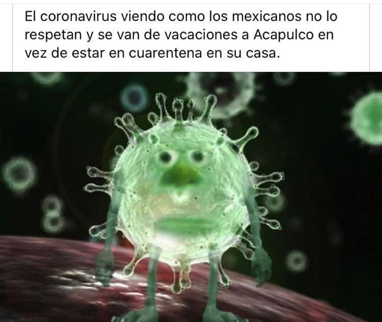 Otros entendieron mal decidieron aprovechar el puente, buscar vuelos baratos e irse de vacaciones.