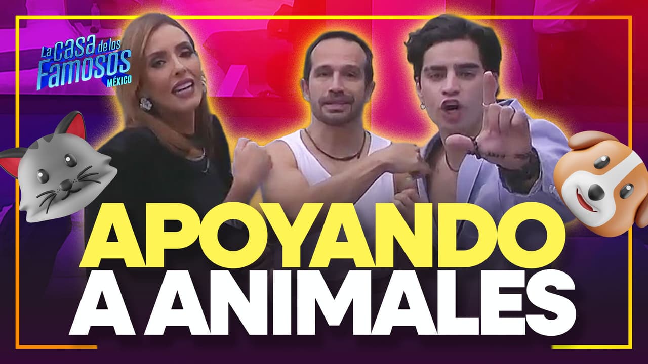 Cuarto Noche PROMETE donación a albergues de animales si los salvan
