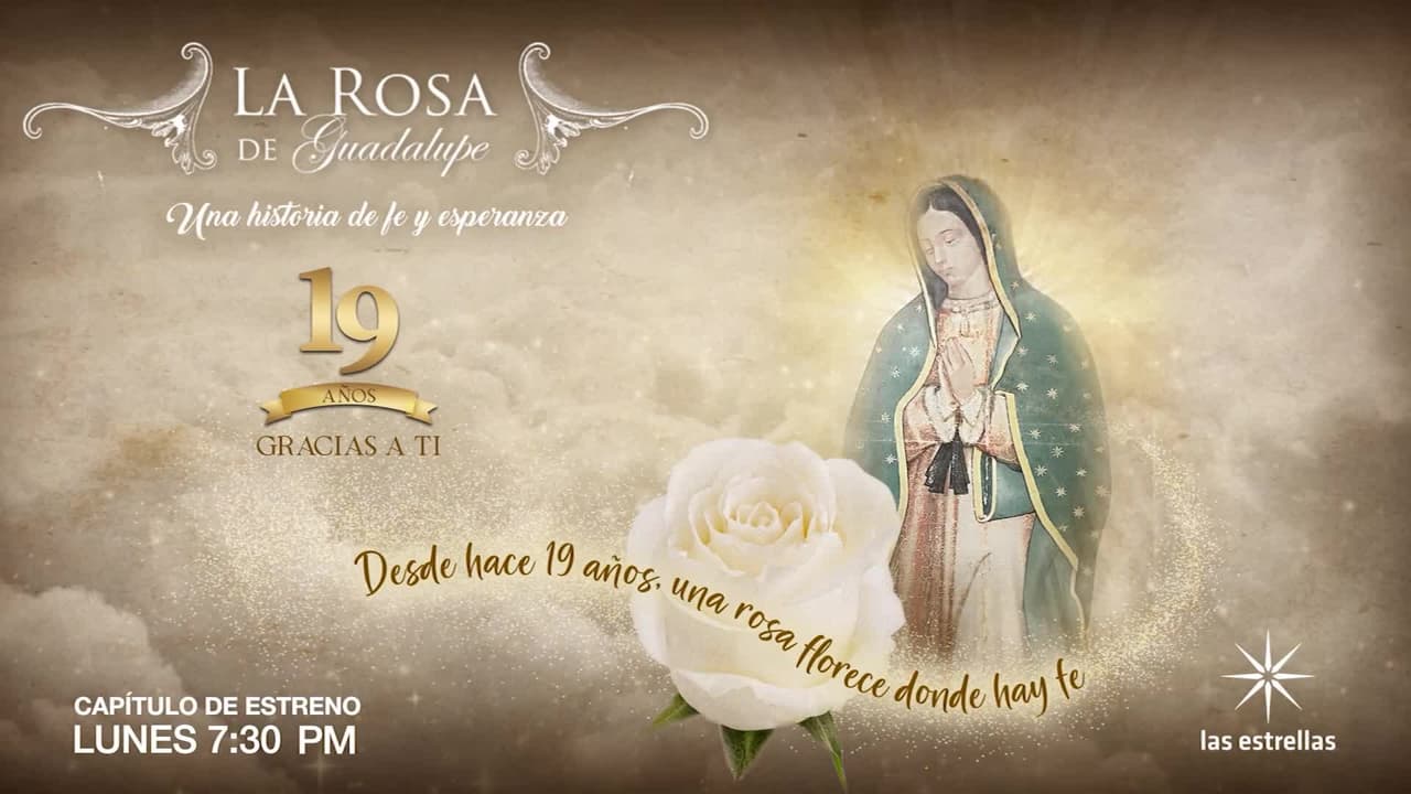La Rosa de Guadalupe hoy 26 de octubre: ¿qué capítulo se estrena y de qué trata?