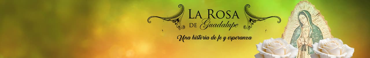 La Rosa de Guadalupe