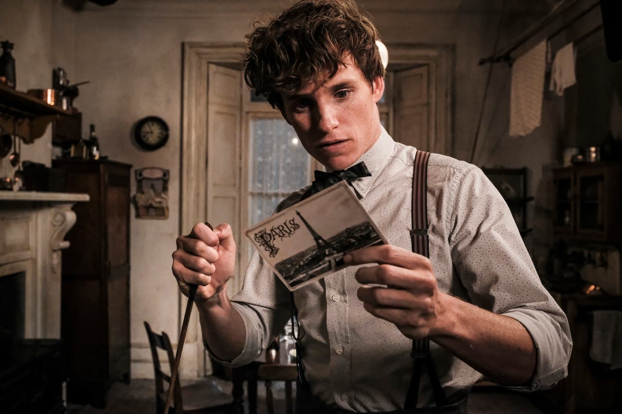 TOP 5: Razones para ver ‘Animales Fantásticos y los Crímenes de Grindelwald’