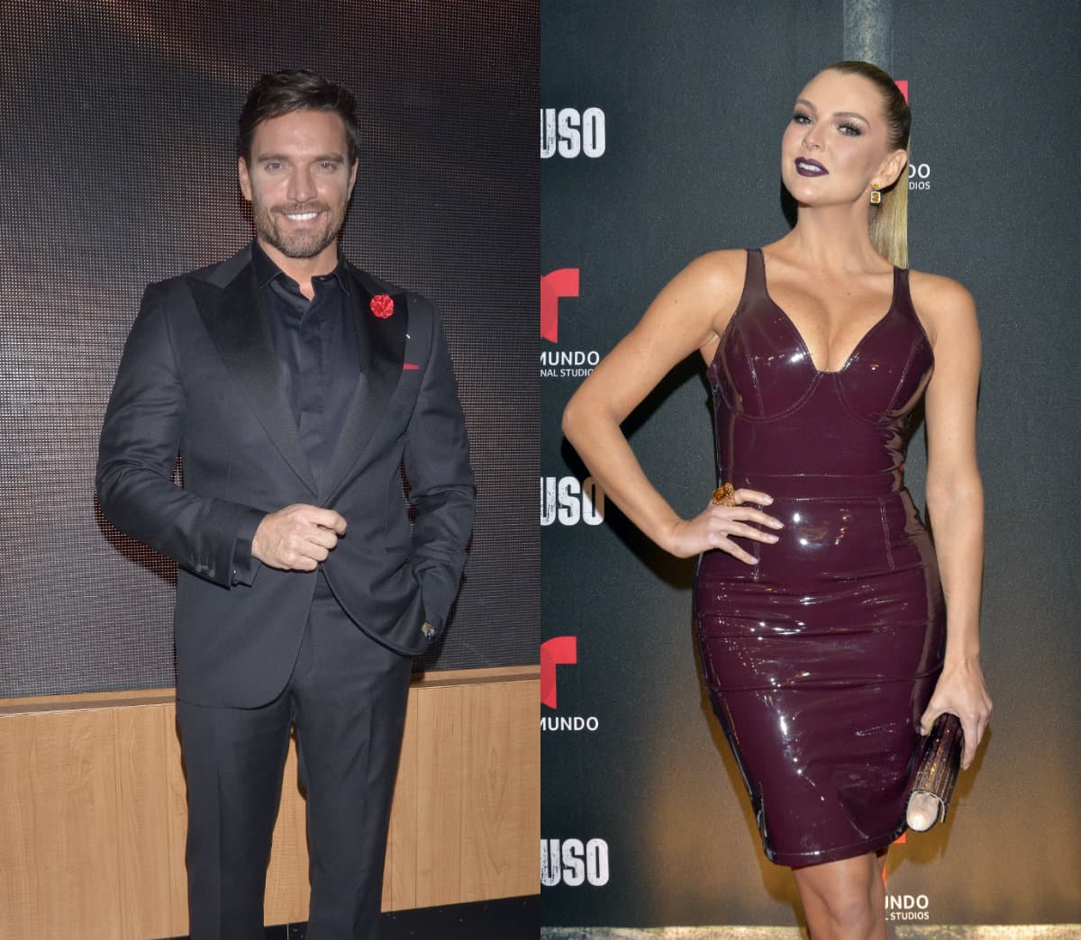 Julián Gil narra el incómodo reencuentro que tuvo con Marjorie de Sousa en un avión