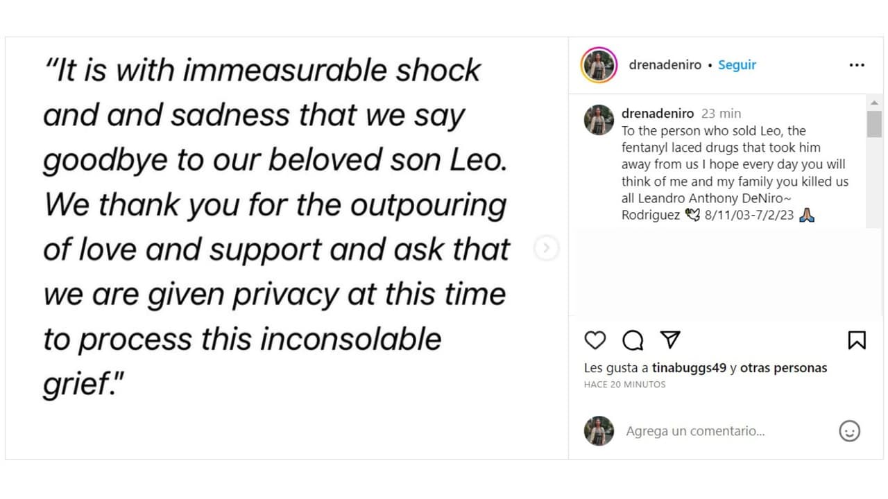Drena De Niro publicó en Instagram este mensaje acerca de la muerte de su hijo.