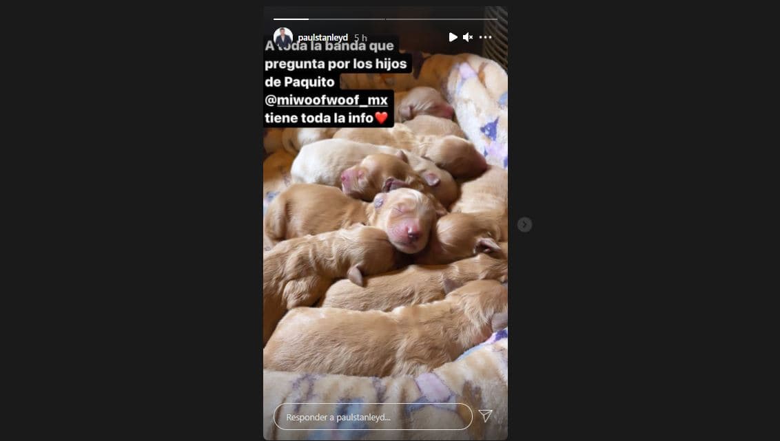 Paul Stanley y la imagen con la que enterneció las redes sociales