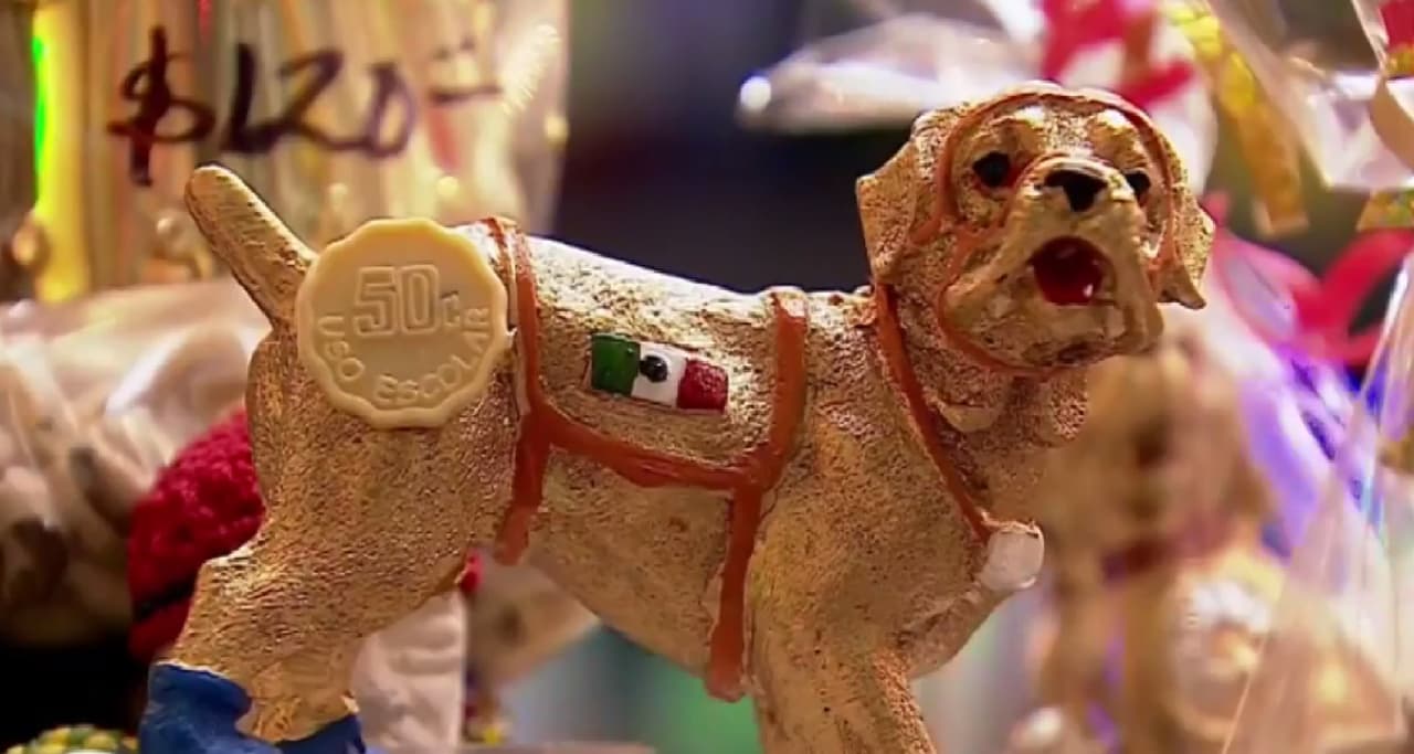 Frida, de perro rescatista a amuleto contra los sismos en México
