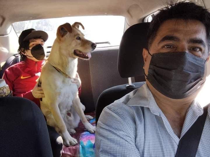 Hombre se viraliza por hacer su taxi apto para mascotas