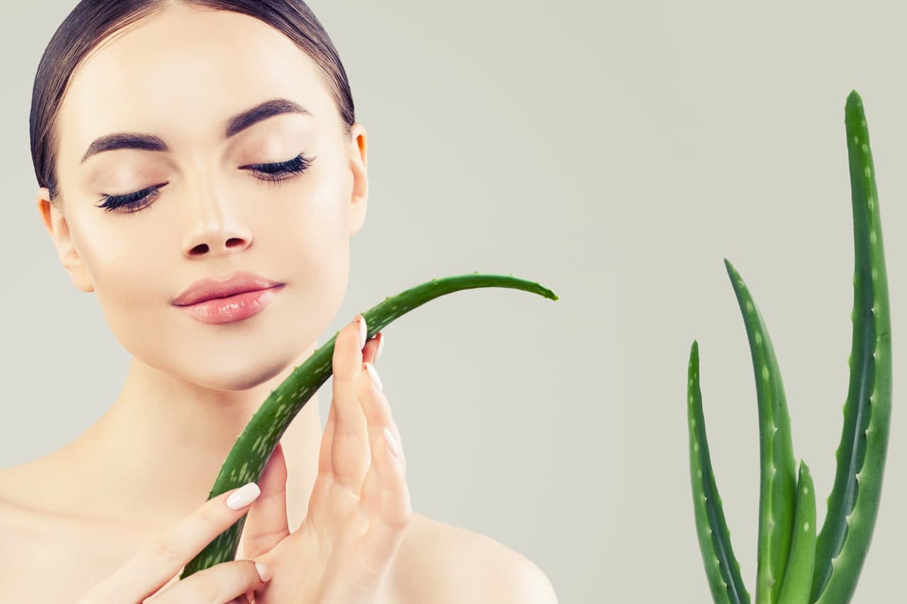 Beauty portrait of perfect woman with aloe leaves in her hands
