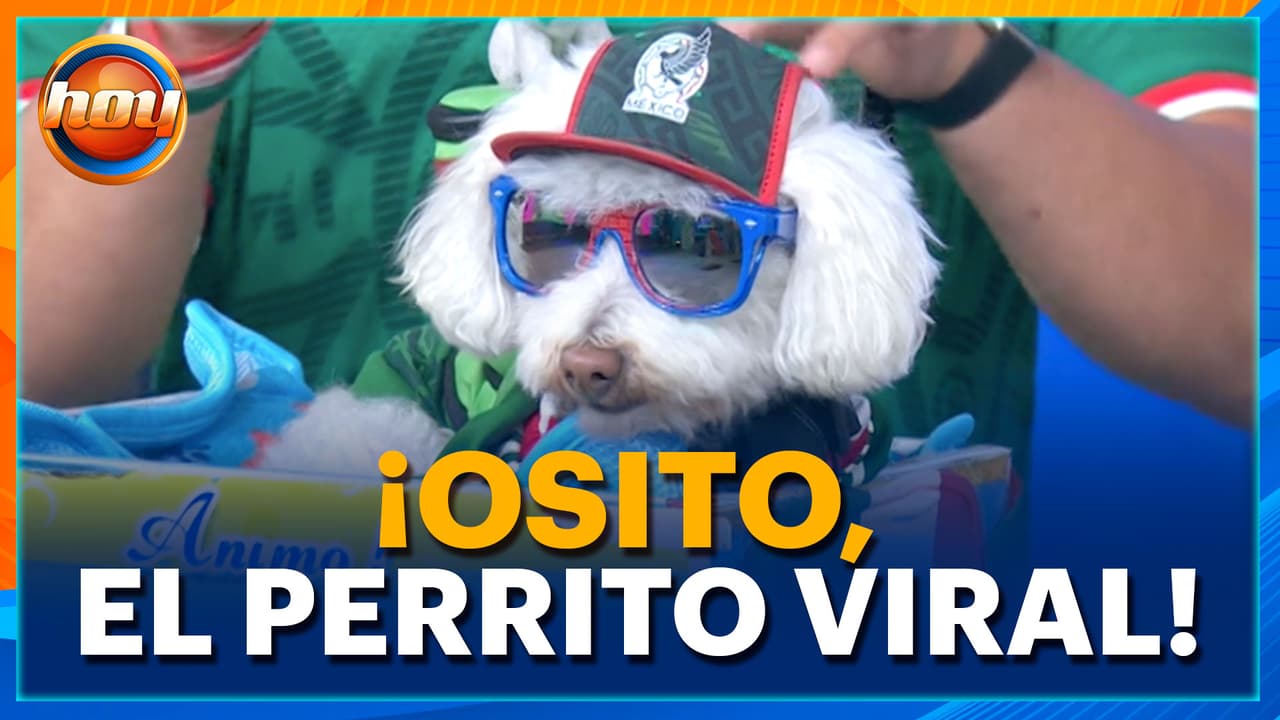 ¡Conoce a Osito! El perrito FUTBOLERO que conquistó las redes