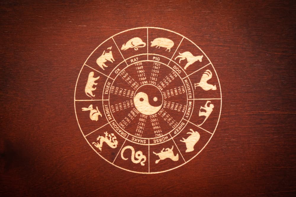 Conoce las características de los signos dentro del horóscopo chino