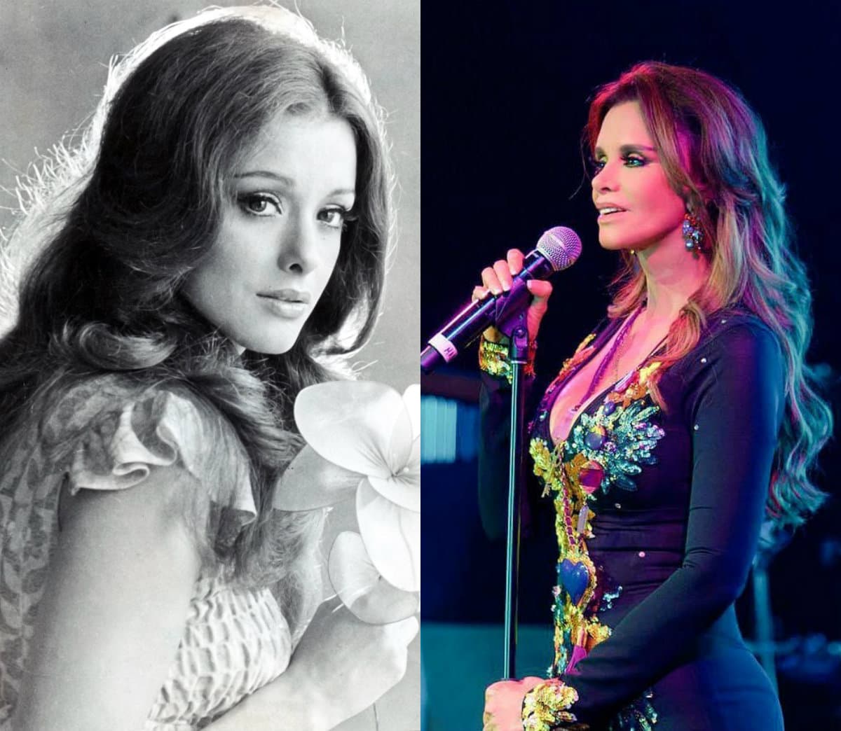 La cantante Lucía Méndez se sometió a varias cirugías plásticas