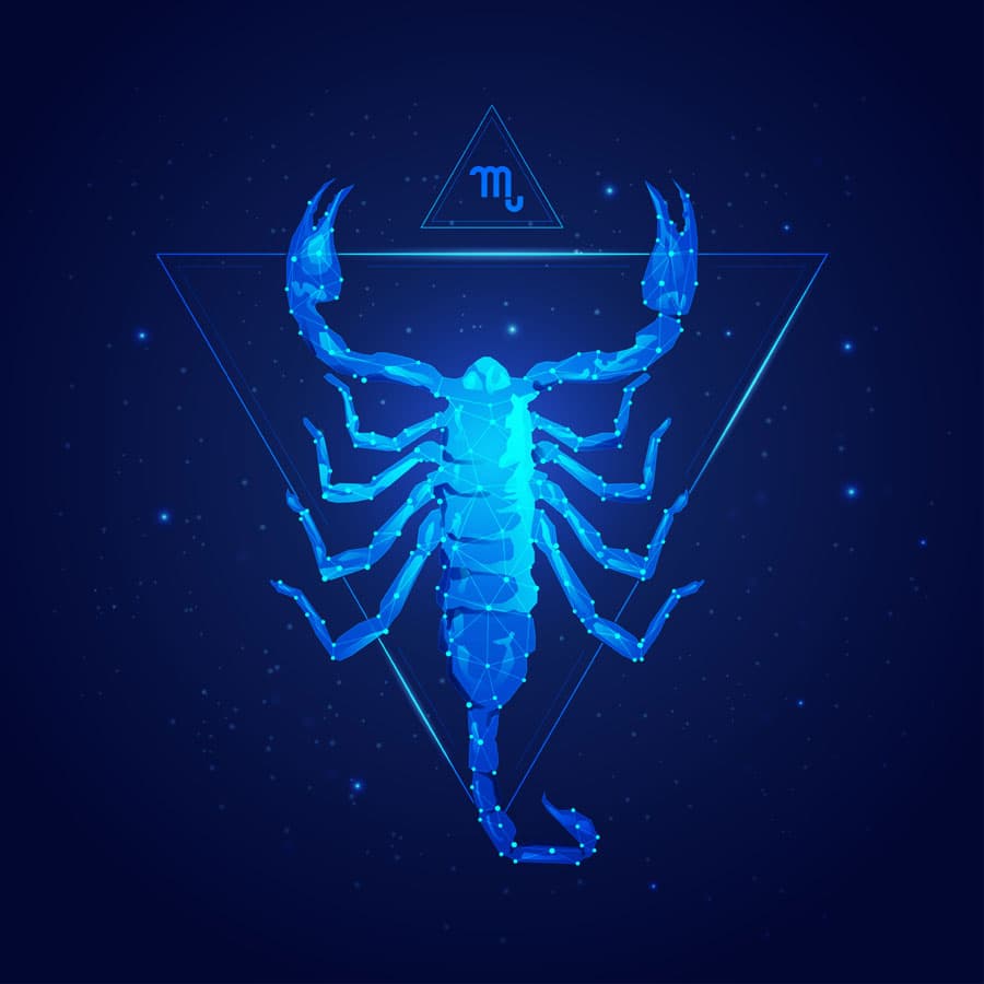 Escorpión. Las personas de este signo tendrán un especial interés por el aprendizaje, tanto en el ámbito académico como profesional, además de que tendrás el deseo de conocer nuevos lugares, así que es tiempo de planear unas vacaciones.