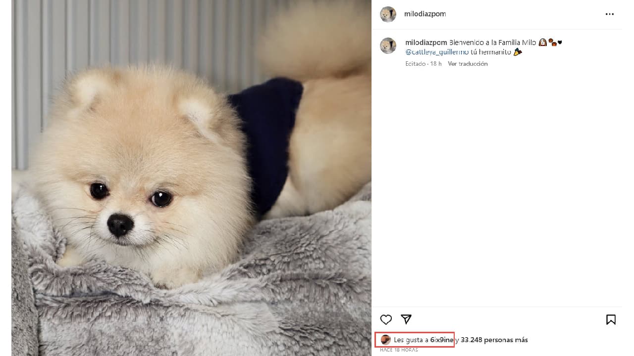 Milo, el nuevo integrante de la familia de Yailin La Más Viral