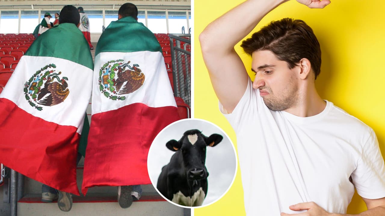 ¿A qué huelen los mexicanos? Extrajeros llegaron a una conclusión y no lo podrás creer