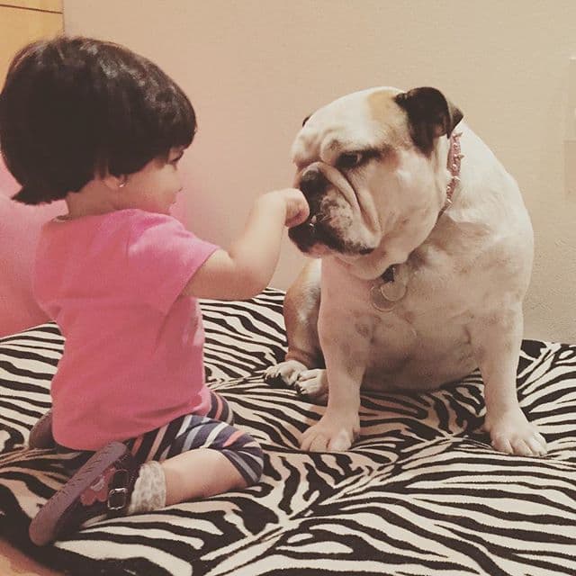 “Wow, esa niña tiene un ángel”, “Bellas”, “Hermosos todos, pero especialmente la niña y Fiona”, “Es una belleza de perrita”, “Qué chulada”, “Fiona está hermosa”, “Fiona es tan linda”, “Toda consentida Fiona”, señalaron los fans.