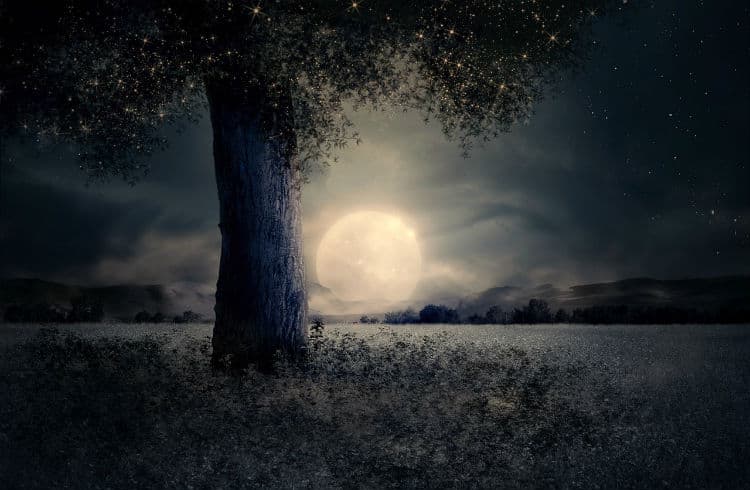Cómo afectará la superluna a tu signo zodiacal