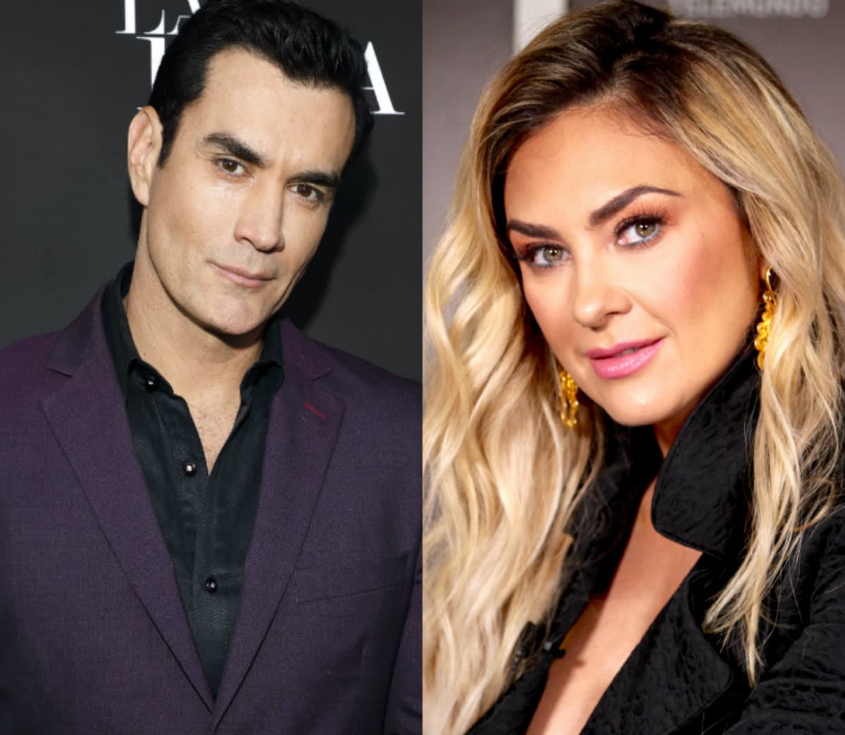 Tras regresar a la soltería, David Zepeda le roba beso a Aracely Arámbula