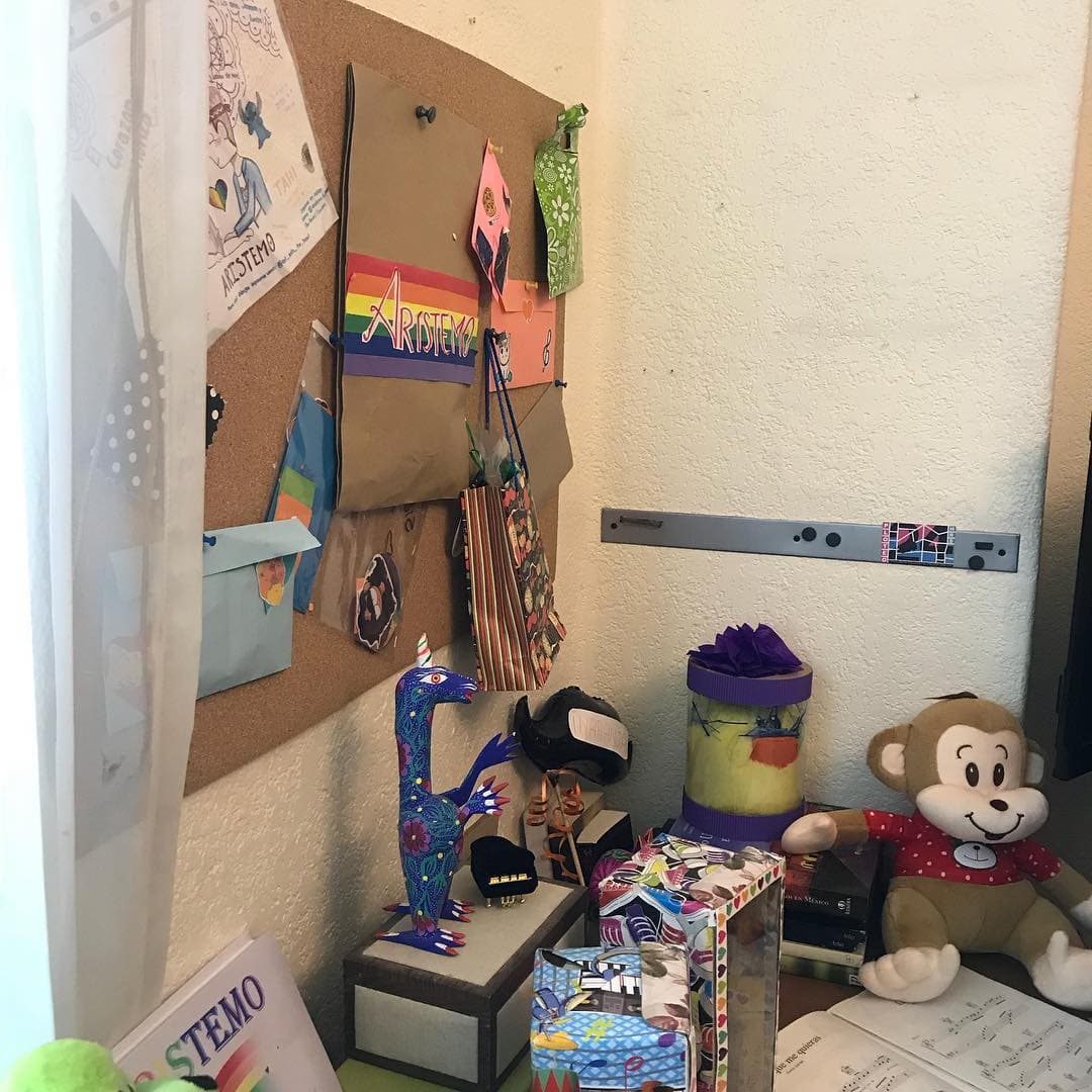 Aquí una foto del interior del cuarto de los ArisTemo, en ella podemos ver algunos objetos personales de la pareja.