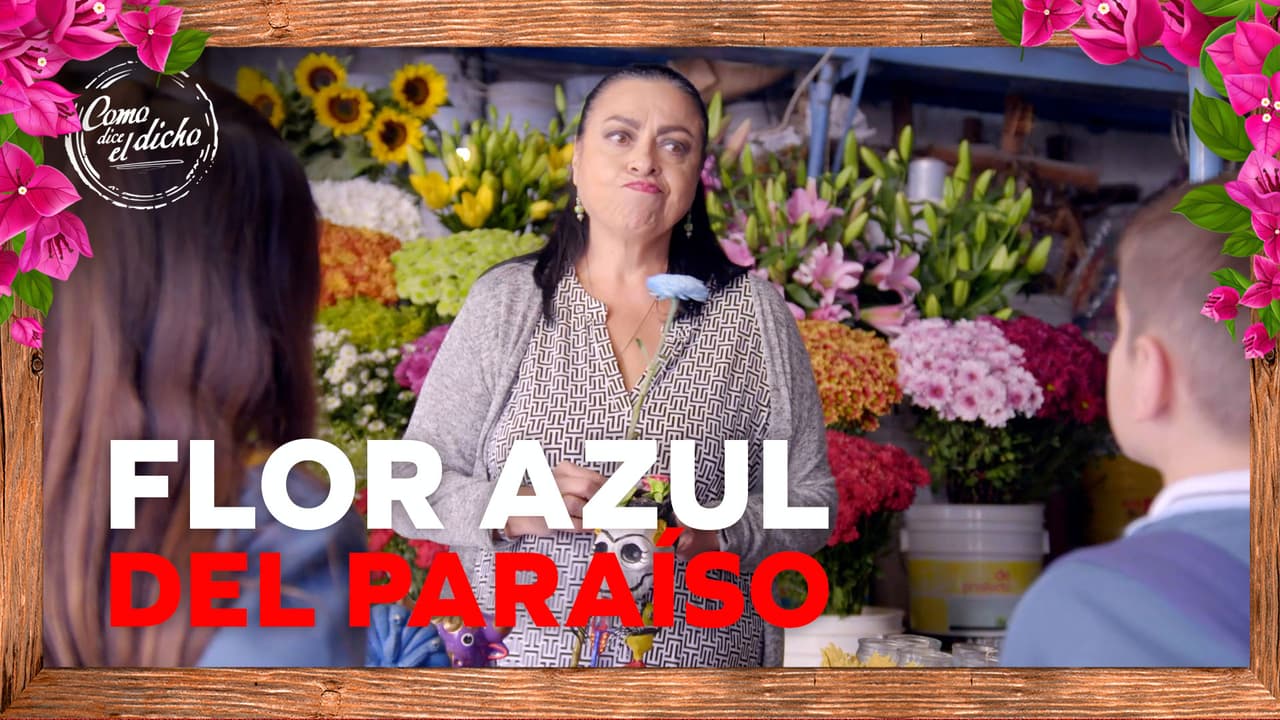 Anita va al Mercado de Sonora a comprar una flor milagrosa para salvar a su hermana