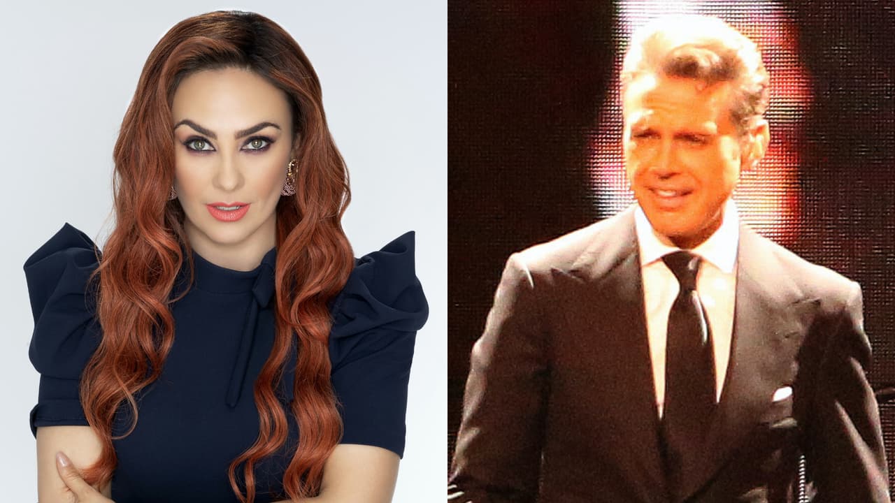 Abogado de Aracely Arámbula ventila desde cuándo 'Luismi' no pagaría manutención