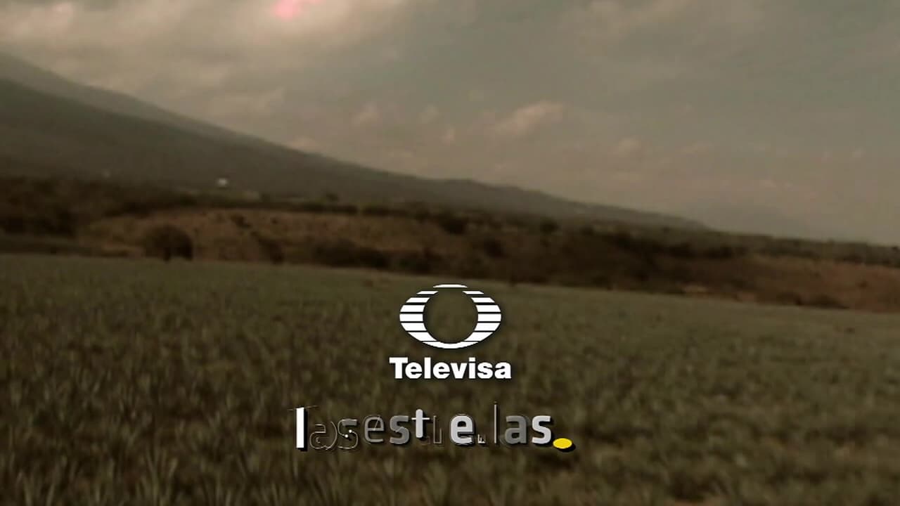 Destilando Amor Capítulo 10 Completo: No quiero saber nada de él