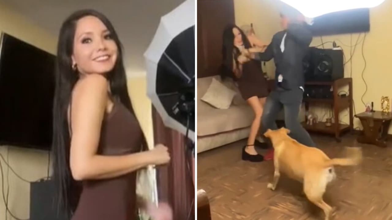 Perrito ve pelear a actores y piensa que es real: mordió al joven que estaba atacando a una chica