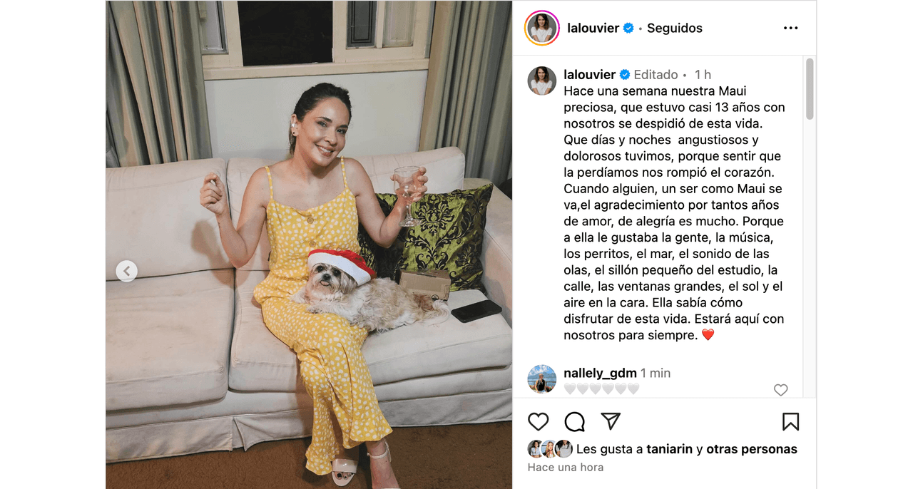 Adriana Louvier está de luto; llorando, se despide de su pequeña y afirma: “Nos rompió el corazón”