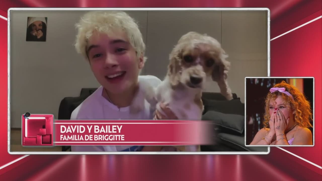 Briggitte se emocionó al ver a su hermano David con su perrita Bailey en 'La Casa de los Famosos México'