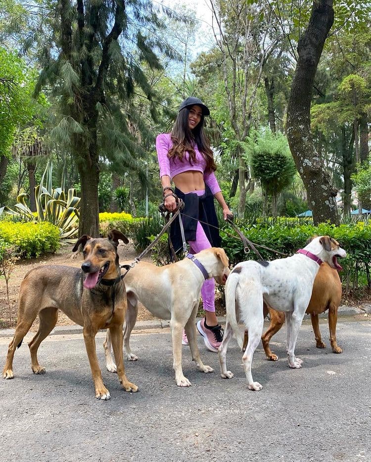 Como datos curiosos de Luciana se cuenta su casi adicción a las facturas (panadería típica de Argentina) y el cambio que hizo al elegir su profesión y es que contó, su amor por los animales la hizo inclinarse primero por la medicina veterinaria, que cambió al poco tiempo por su también pasión por los medios eligiendo así Ciencias de la comunicación, con especialidad en periodismo.