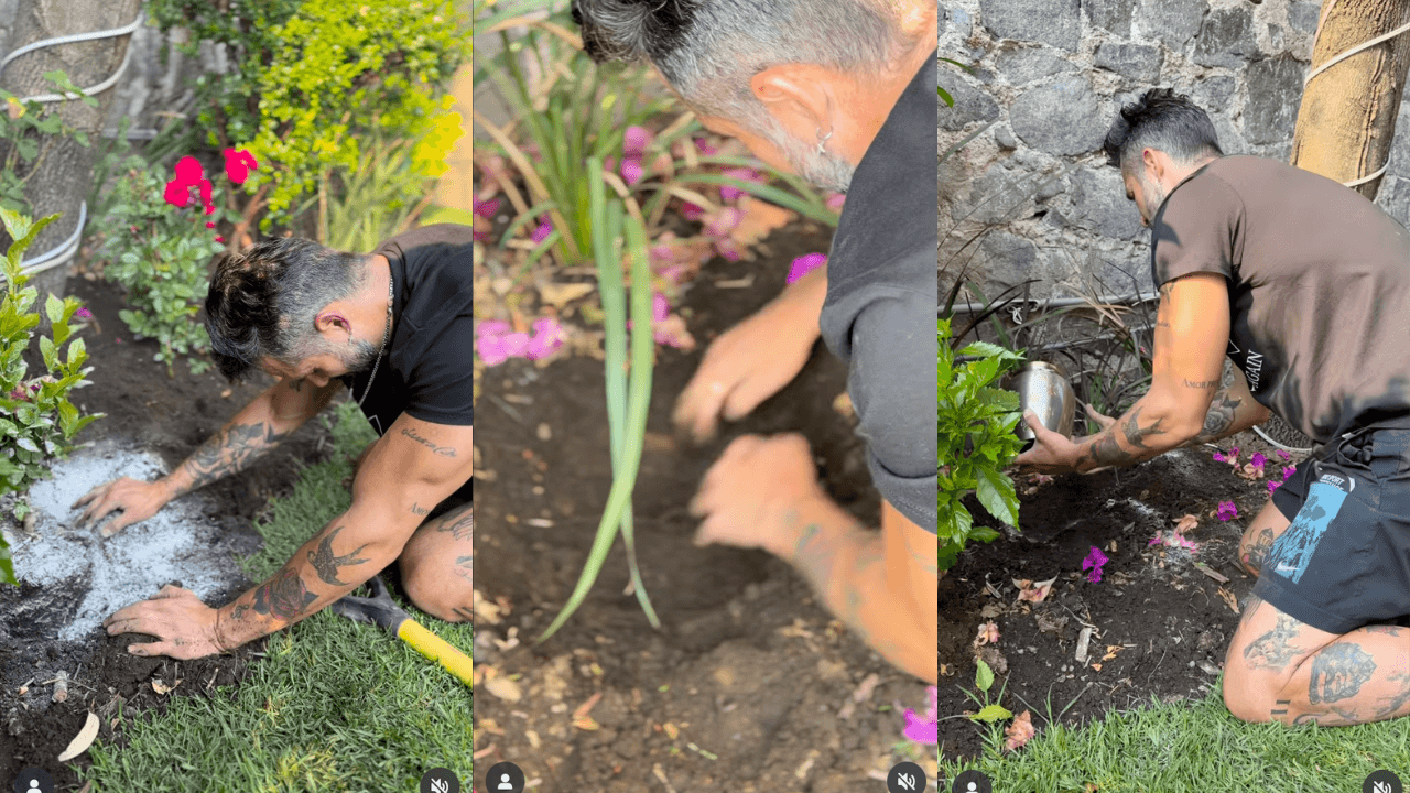 José Ron llora la muerte de sus ‘hijos’; revela lo que hizo con las cenizas: “Ya no están en mis brazos”