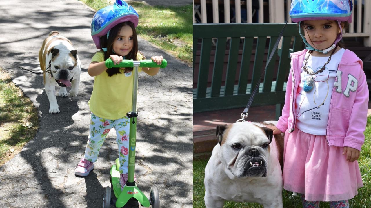 Alessandra Rosaldo compartió imágenes inéditas de la perrita