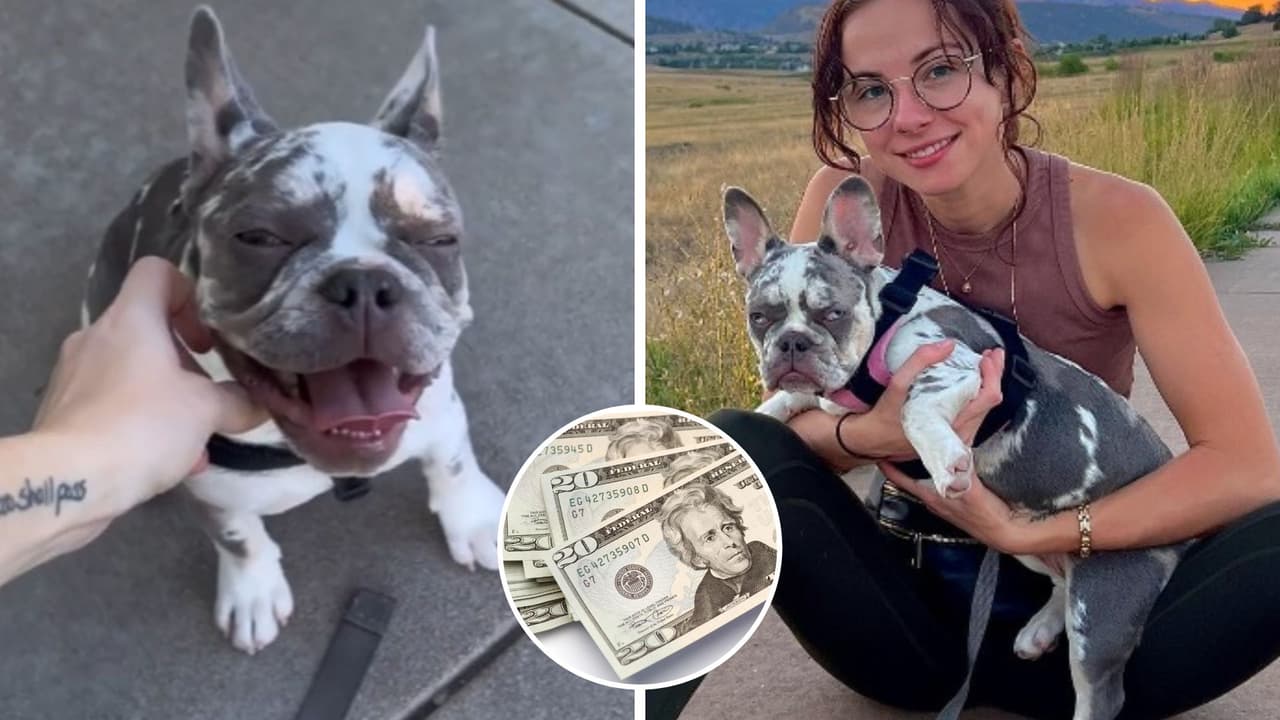 Mujer paga renta gracias a los videos lindos que sube de su perrito: no creerás lo que gana al mes