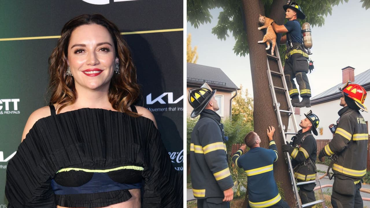 Bomberos de CDMX rescatan a gatito de Regina Blandón y en redes reaccionan con divertidos memes