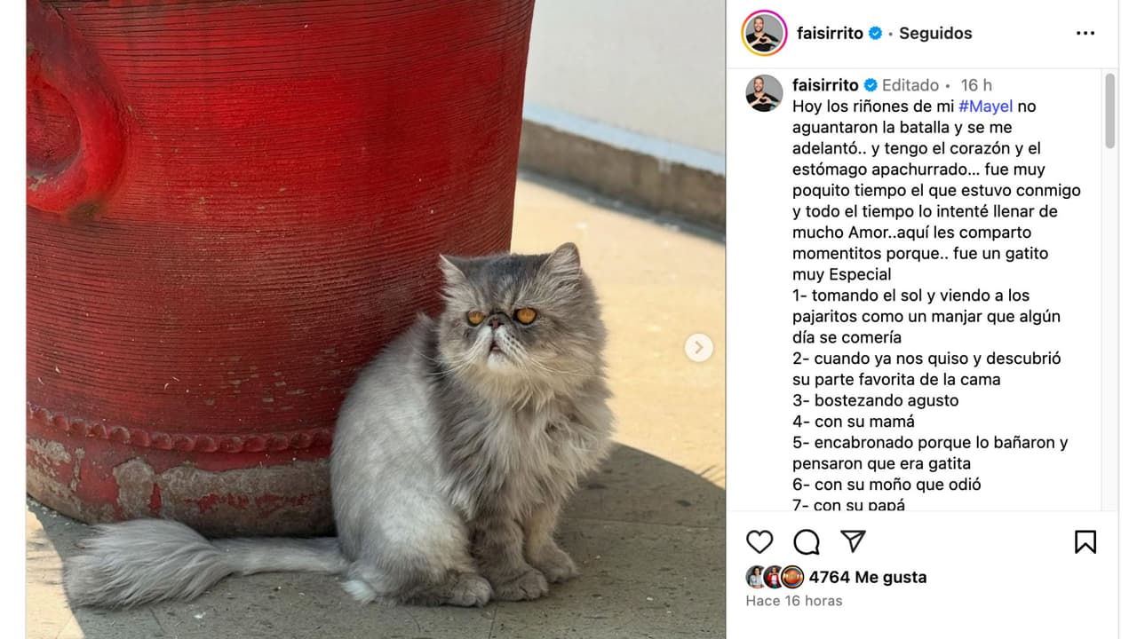 Faisy está de luto tras la muerte de su mascota y la recuerda con emotivas fotos en Instagram.