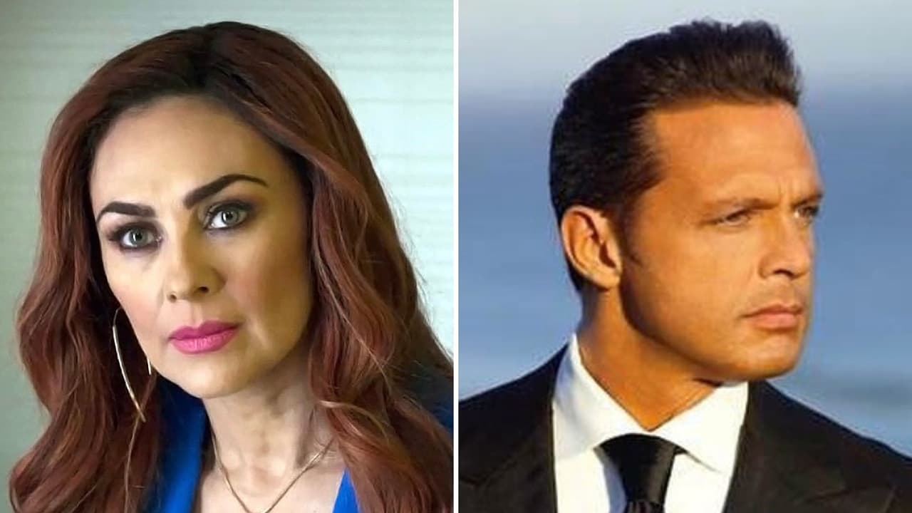 Aracely Arámbula se estaría "negando" a recibir el dinero de la pensión que Luis Miguel supuestamente dio para sus hijos.
